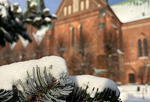 Im Vordergrund ist ein Tannenzweig mit Schnee zu sehen und im Hintergrund der Dom 
